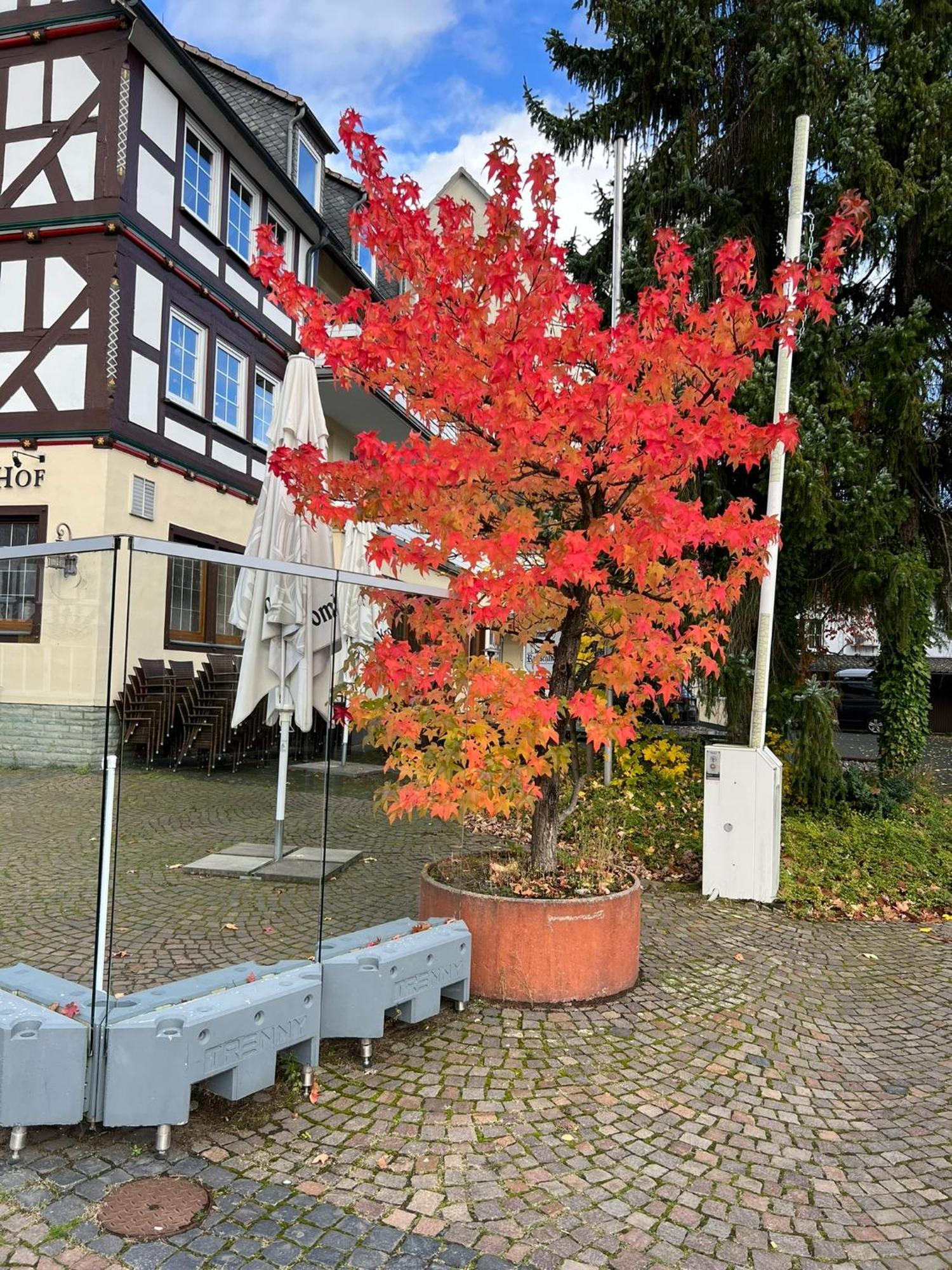 Hotel Wittgensteiner Hof Bad Laasphe Exterior foto